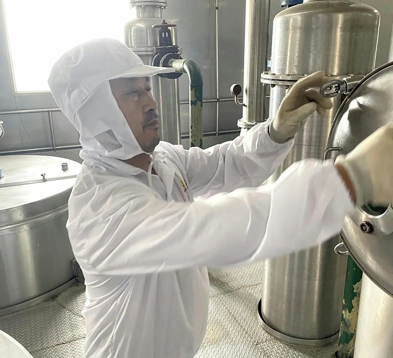 花帝最美勞動者2