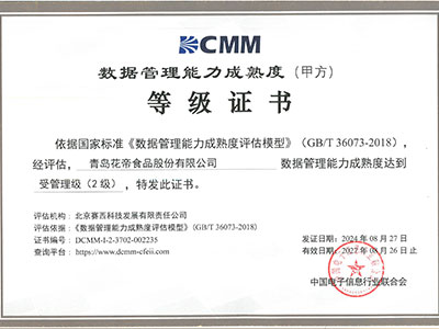 數(shù)據(jù)管理能力成熟度登記證書