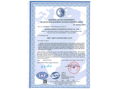 質量管理體系9001認證證書英文版