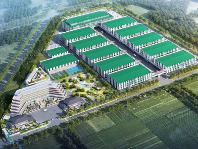 花帝公司丨省重點優(yōu)選項目建設假期不停工，企盼新年開門紅