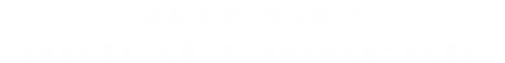 专注危险品国际货运一站式服务